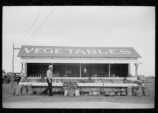 Untitled photo, possibly related to: Vegetable stand along highway, Rice County, Minnesota