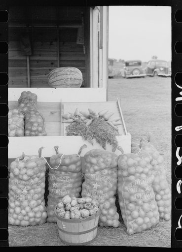 Untitled photo, possibly related to: Vegetable stand, Rice County, Minnesota