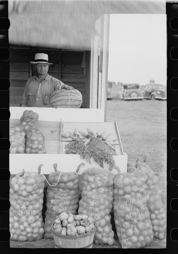 Vegetable stand, Rice County, Minnesota