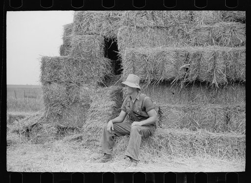 Untitled photo, possibly related to: Hired hand, Brandtjen Dairy Farm, Dakota County, Minnesota