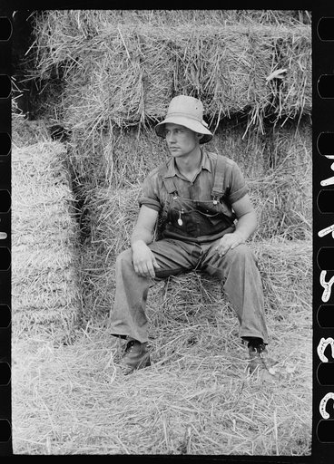 Untitled photo, possibly related to: Hired hand, Brandtjen Dairy Farm, Dakota County, Minnesota
