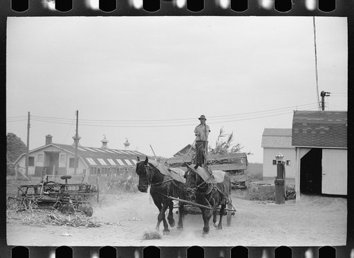 Untitled photo, possibly related to: Silo and barn, Brandtjen Dairy Farm, Dakota County, Minnesota
