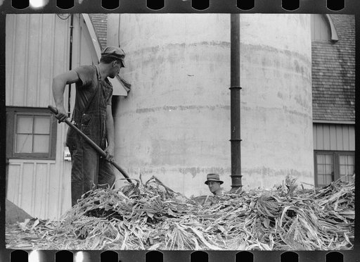 Untitled photo, possibly related to: Silo and barn, Brandtjen Dairy Farm, Dakota County, Minnesota
