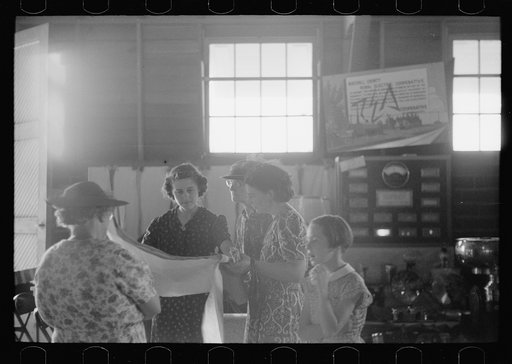 Untitled photo, possibly related to: Explaining the REA program to farm women, Central Iowa 4-H Club fair, Marshalltown, Iowa