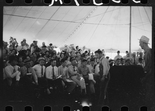 Untitled photo, possibly related to: Auctioning off the prize baby beeves, Central Iowa 4-H Club fair, Marshalltown, Iowa