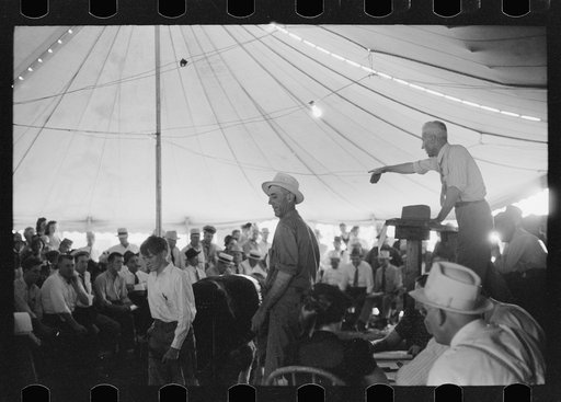 Untitled photo, possibly related to: Auctioning off the prize baby beeves, Central Iowa 4-H Club fair, Marshalltown, Iowa