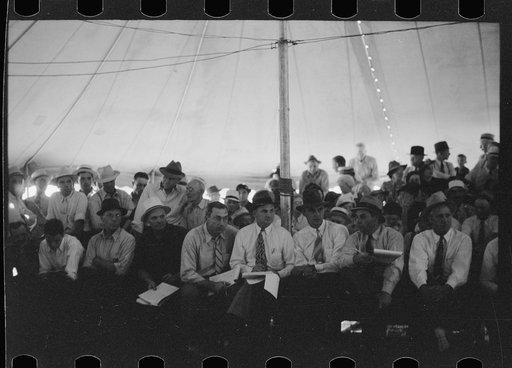 Untitled photo, possibly related to: Auctioning off the prize baby beeves, Central Iowa 4-H Club fair, Marshalltown, Iowa