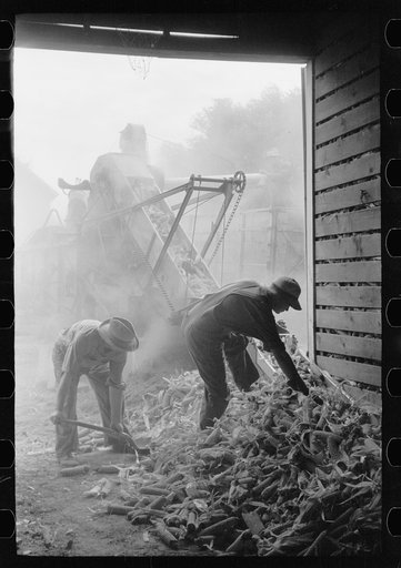 Shelling corn for storage in EverNormal granary, Grundy County, Iowa