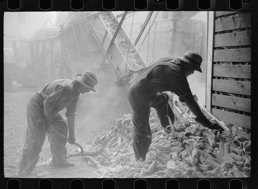 Shelling corn for storage in EverNormal granary, Grundy County, Iowa