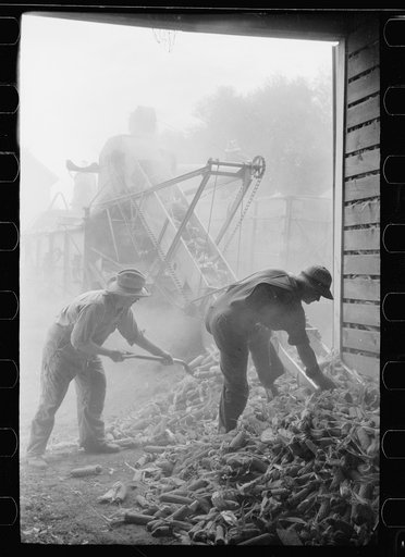 Untitled photo, possibly related to: Shelling corn for storage in EverNormal granary, Grundy County, Iowa