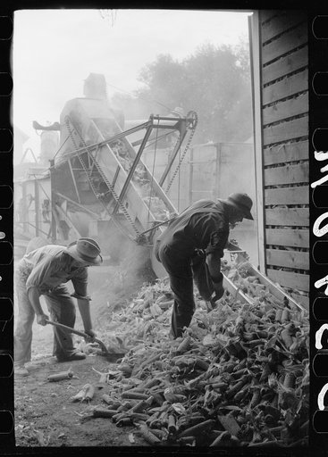 Untitled photo, possibly related to: Shelling corn for storage in EverNormal granary, Grundy County, Iowa