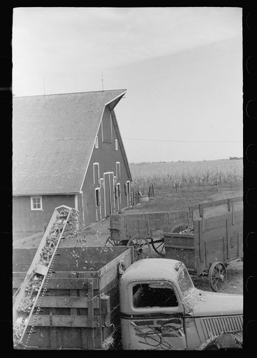 Untitled photo, possibly related to: Shelling corn for storage in EverNormal granary, Grundy County, Iowa