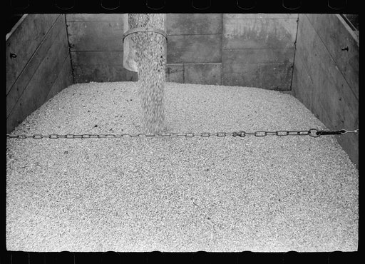 Untitled photo, possibly related to: Shelled corn, Grundy County, Iowa