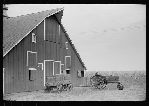 After corn is shelled the cobs are stored for fuel, Grundy County, Iowa