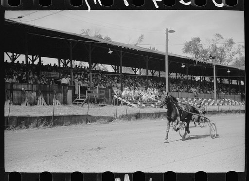 Untitled photo, possibly related to: Sulky race, Central Iowa 4-H Club fair, Marshalltown, Iowa