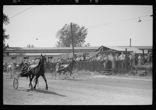 Untitled photo, possibly related to: Sulky race, Central Iowa 4-H Club fair, Marshalltown, Iowa