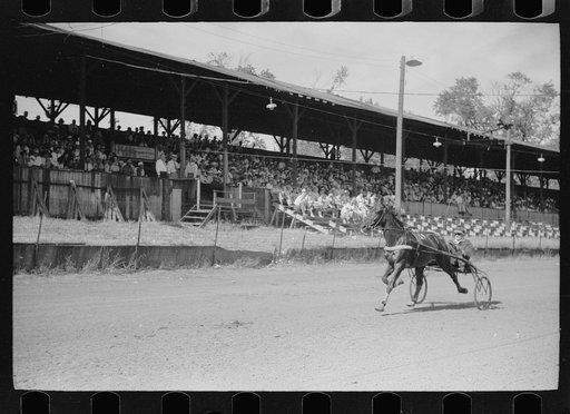 Sulky race, Central Iowa 4-H Club fair, Marshalltown, Iowa