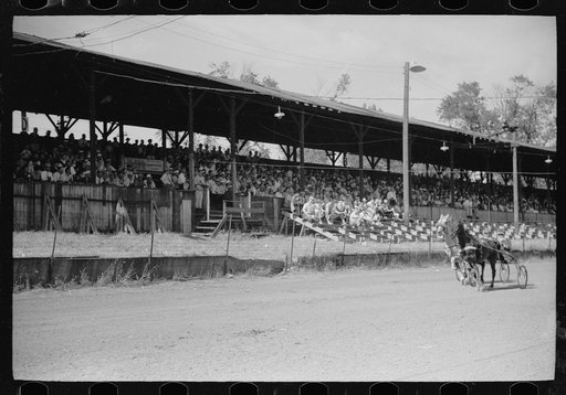 Untitled photo, possibly related to: Sulky race, Central Iowa 4-H Club fair, Marshalltown, Iowa