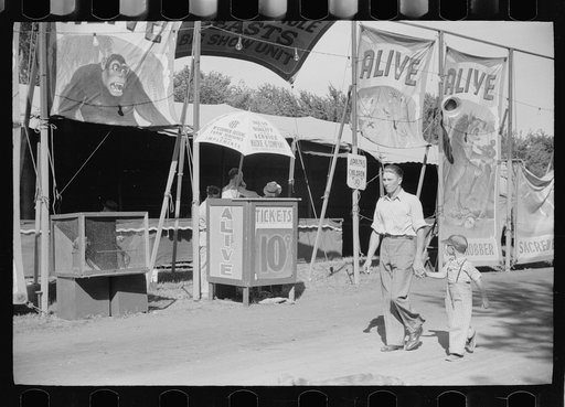 Show on midway, Central Iowa 4-H Club fair, Marshalltown, Iowa