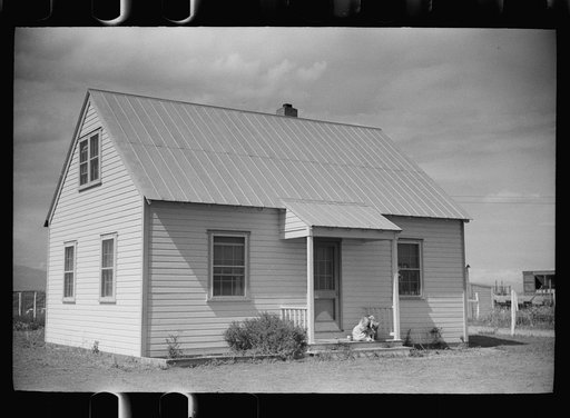 Untitled photo, possibly related to: Howard Crowder displays some of the vegetables produced in his garden on San Luis Valley Farms, Alamosa, Colorado