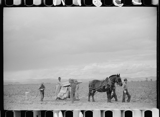 Untitled photo, possibly related to: Potato pickers, Rio Grande County, Colorado