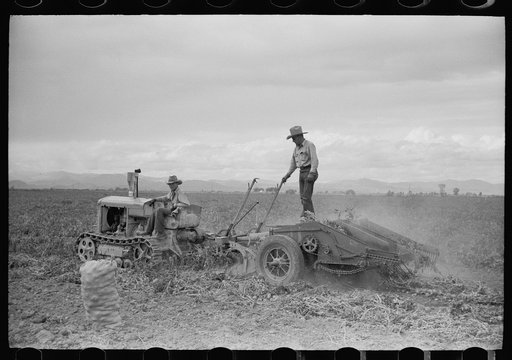 Potato digger, Rio Grande County, Colorado