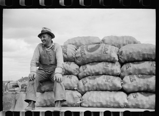 Farmer on load of potatoes, Rio Grande County, Colorado