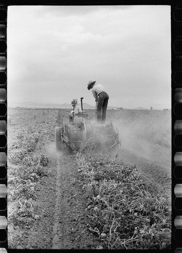 Two-row potato digger, Rio Grande County, Colorado