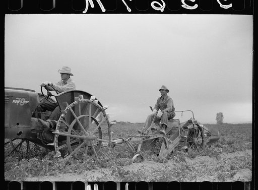 Untitled photo, possibly related to: Farmer on one-row potato digger, Rio Grande County, Colorado