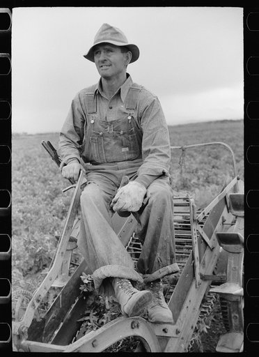 Untitled photo, possibly related to: Farmer on one-row potato digger, Rio Grande County, Colorado