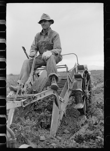 Farmer on one-row potato digger, Rio Grande County, Colorado
