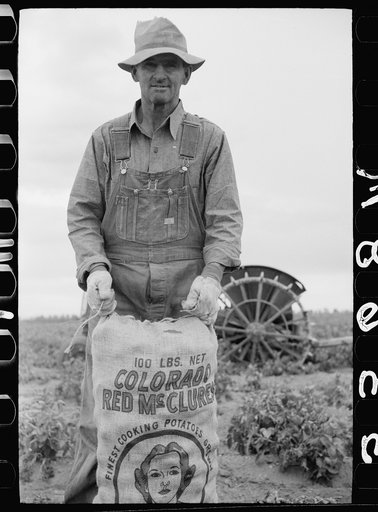 Untitled photo, possibly related to: Farmer and son with sack of potatoes, Rio Grande County, Colorado