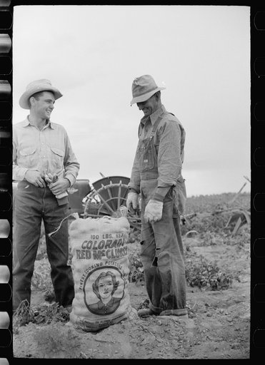 Untitled photo, possibly related to: Farmer and son with sack of potatoes, Rio Grande County, Colorado