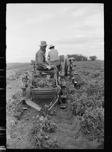 Potato digger, Rio Grande County, Colorado