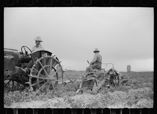 One-row potato digger, Rio Grande County, Colorado