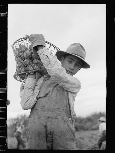 Young Spanish-American potato picker, Rio Grande County, Colorado