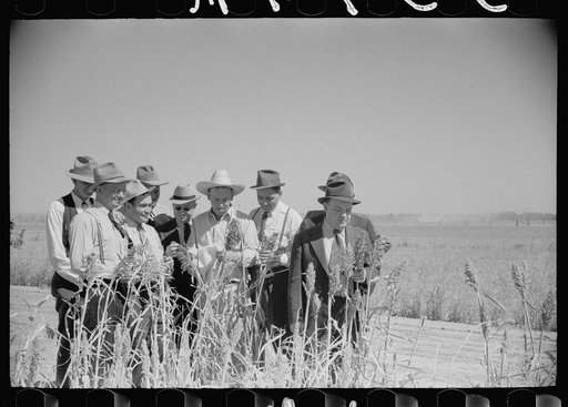 Untitled photo, possibly related to: FSA (Farm Security Administration) county supervisor at farmers field day at United States Dry Land Experiment Station, Akron, Colorado