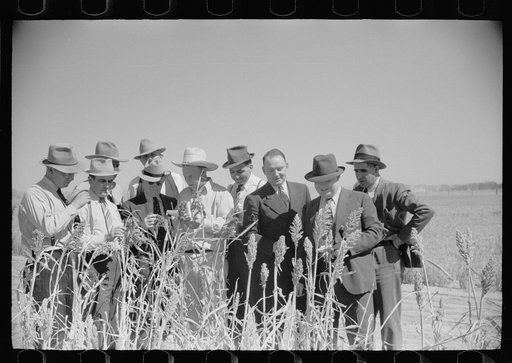 FSA (Farm Security Administration) county supervisor at farmers field day at United States Dry Land Experiment Station, Akron, Colorado