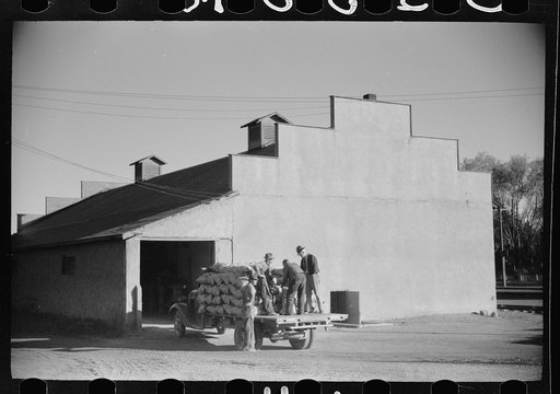 Potato storage and graining warehouse operated by growers' cooperative, Monte Vista, Colorado