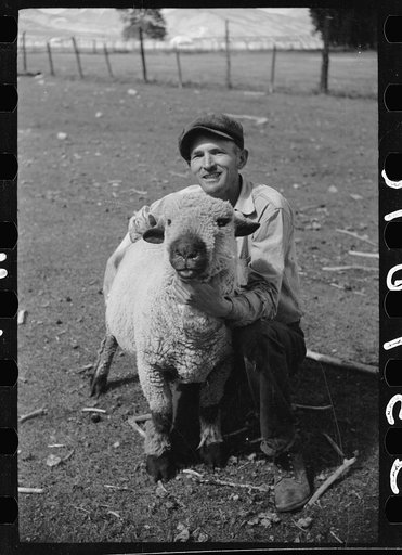 Elmo Temple, Chaffee County, Colorado rehabilitation client with one of his purebred bucks