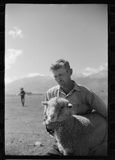 Untitled photo, possibly related to: Elmo Temple, Chaffee County, Colorado rehabilitation client poses with one of his lambs