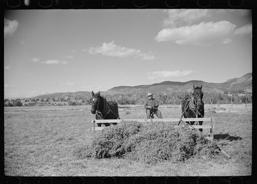 Untitled photo, possibly related to: County supervisor George Stewart (right) discusses farm problems with rehabilitation client Russel D. Glenn in Chaffee County, Colorado