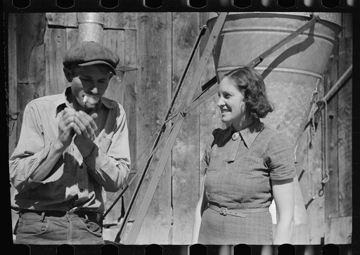 Untitled photo, possibly related to: Mrs. Louise Temple feeds some of her turkeys on their farm in Chaffee County, Colorado