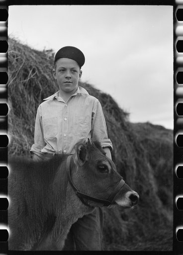 Wayne Beede, son of resettlement client, Western Slope Farms, Colorado, poses with his prizewinning 4-H calf