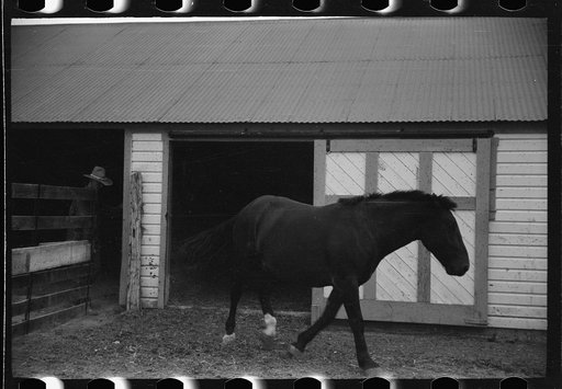 Untitled photo, possibly related to: Thomas W. Beede, resettlement client, Western Slope Farms, Colorado gives his youngest daughter a ride