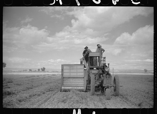 Untitled photo, possibly related to: Bean threshers, western Colorado