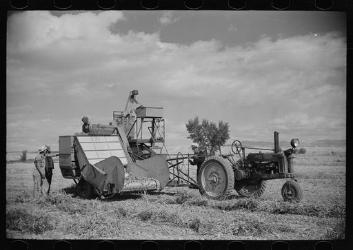 Bean threshers, western Colorado