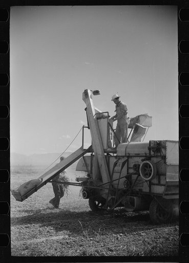 Untitled photo, possibly related to: Bean threshers, western Colorado