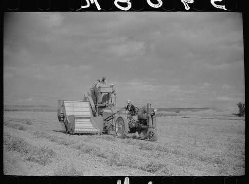 Bean threshers, western Colorado