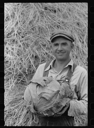 Untitled photo, possibly related to: Howard Crowder displays some of the vegetables produced in his garden on San Luis Valley Farms, Alamosa, Colorado